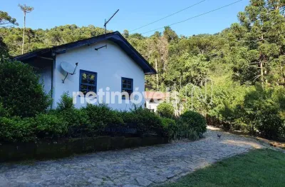 Chácara / sítio com 5 quartos à venda na Estrada Cajurú E Fernandes, Zona Rural, Virgínia