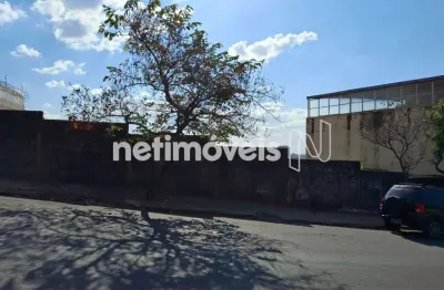 Terreno comercial à venda na Rua Alberto Bressane, São Lucas, Belo Horizonte