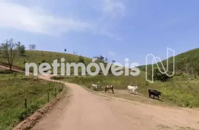 Chácara / sítio com 2 quartos à venda na Rua Distrito De Queixada, Queixada, Novo Cruzeiro