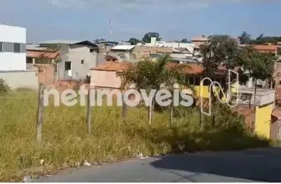 Venda lote-área-terreno severina ribeirão das neves