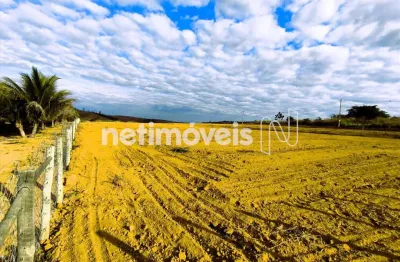 Venda lote-área-terreno revés do belém bom jesus do galho