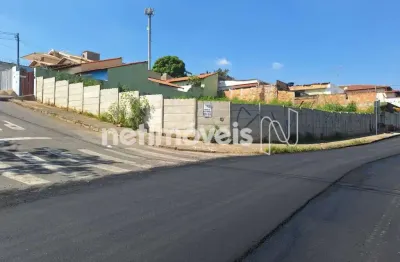 Terreno comercial à venda na Rua Maracá, Novo Horizonte, Betim