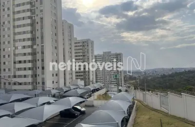 Venda apartamento 2 quartos palmeiras belo horizonte