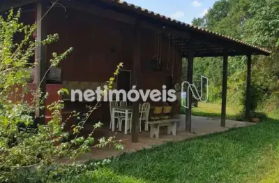 Cota em agrofloresta em souza, rio manso, 64.000 m²; com nascente, floresta produtiva e vida natural.