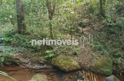Cota em agrofloresta em souza, rio manso, 64.000 m²; com nascente, floresta produtiva e vida natural.