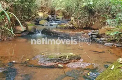 Cota em agrofloresta em souza, rio manso, 64.000 m²; com nascente, floresta produtiva e vida natural.