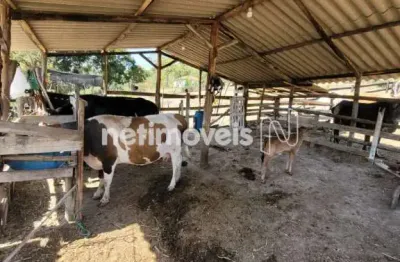 Chácara / sítio com 4 quartos à venda na Zona Rural Mata Do Sítio, Zona Rural, Entre Rios de Minas