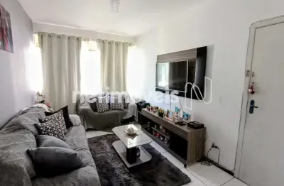 Apartamento com 3 quartos à venda na Rua João Arantes, Cidade Nova, Belo Horizonte