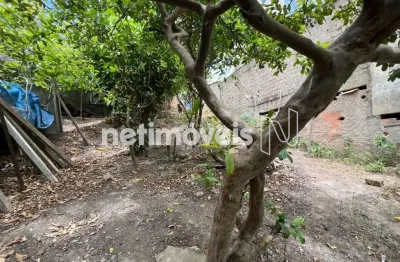 Terreno comercial à venda na Rua Xingu, Santa Lúcia, Belo Horizonte