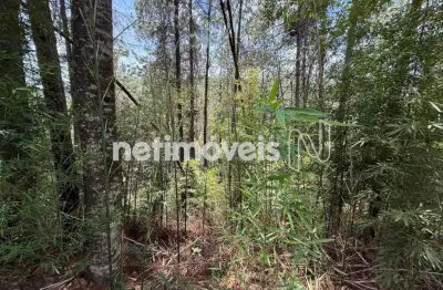 Terreno à venda no estância del rey — a 10 minutos do bh shopping | oportunidade única