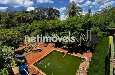 Chácara / sítio à venda na Alameda Das Braúnas, Azurita, Mateus Leme