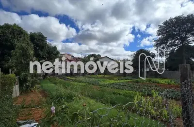 Terreno 1.366 m²; com área verde + 2 Casas no Tirol – Belo Horizonte/MG