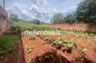 Terreno comercial à venda na Avenida João Batista Drumond, Braúnas, Belo Horizonte