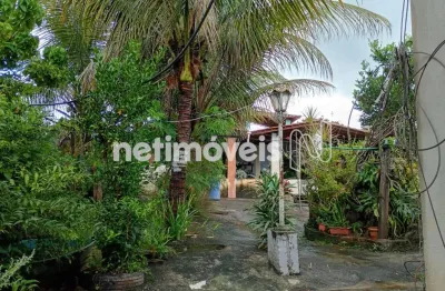 Chácara / sítio com 5 quartos à venda na Rua Curitiba, Zona Rural, São José da Lapa