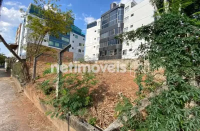Terreno comercial para alugar na Rua Castelo de Sintra, Castelo, Belo Horizonte