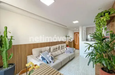 Apartamento com 2 quartos para alugar na Avenida Miguel Perrela, Castelo, Belo Horizonte