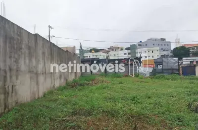 Terreno comercial para alugar na Rua Jacuí, Nova Floresta, Belo Horizonte