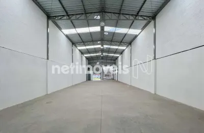 Barracão / Galpão / Depósito para alugar na Rua Tabatinga, João Pinheiro, Belo Horizonte