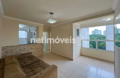 Apartamento com 2 quartos para alugar na Rua Jornalista Tarcísio Henriques, Castelo, Belo Horizonte