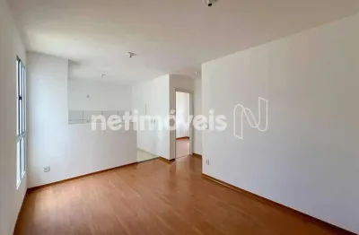 Apartamento com 2 quartos para alugar na Rua Pedro Neves de Carvalho, Trevo, Belo Horizonte