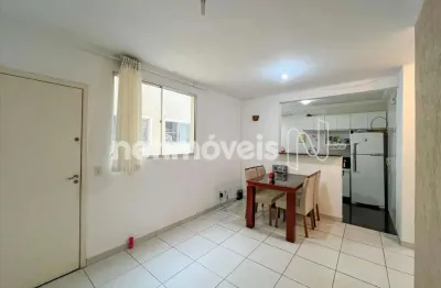 Apartamento com 2 quartos para alugar na Rua Vulcânia, Conjunto Celso Machado, Belo Horizonte