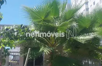 Apartamento com 2 quartos para alugar na Rua Ana Dias Duarte, Jardim Guanabara, Belo Horizonte