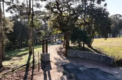 Terreno à venda no bateias de cima, campo alegre  por r$ 900.000