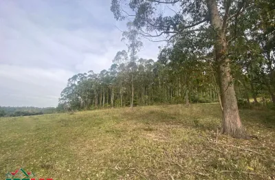 Chácara / sítio com 1 quarto à venda na Beco Do Capitão, --, Centro, Viamão