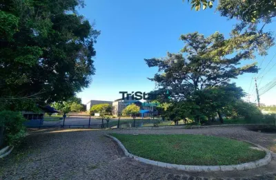 #locação - ga0030 galpão industrial distrito domingos giomi  - área total 18.675m2 área construída 4.630m² área fabril 2.700m² pé direito 10 metros.