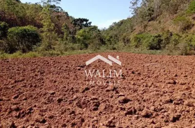Fazenda à venda na zona rural de barbacena, mg  ideal para produção de eucalipto e criação de gado!