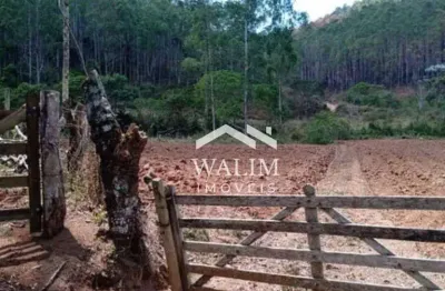 Fazenda à venda na zona rural de barbacena, mg  ideal para produção de eucalipto e criação de gado!