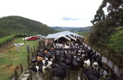 **fazenda de excelência em antonio carlos, mg – 214 hectares de produção e riqueza natural!**