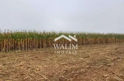 Fazenda à venda, zona rural, santo antônio do amparo, mg - 318 hectares