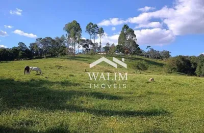Fazenda à venda na zona rural de oliveira, mg - 34 hectares : uma propriedade completa para o agronegócio!