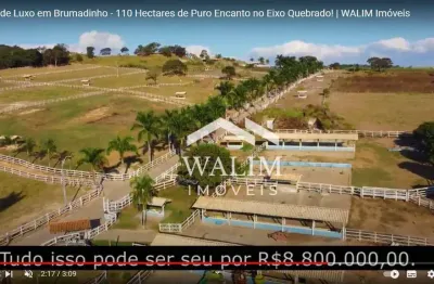 ?? oportunidade única: fazenda haras de 110 hectares em brumadinho, mg! ??