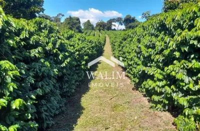 ?? fazenda à venda em carmópolis de minas/mg – 55 hectares com café, pastagem e nascentes!