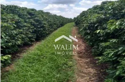 ?? fazenda café à venda 4.700 hectares no sul de minas – café certificado e alta produtividade