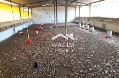 Fazenda com 1 sala à venda na Zona Rural, Passa Tempo 