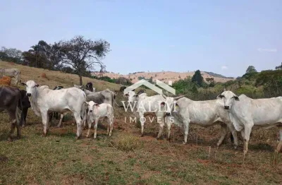 Fazenda à venda, 50 hectares r$ 2.800.000 - zona rural - crucilândia/mg
