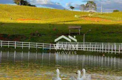 Fazenda de alto padrão em bom despacho - 95 hectares