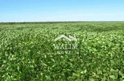 Fazenda à venda no Centro, Bonito de Minas 