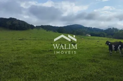 ?? terreno produtivo de 8 hectares em itaguara – água abundante e ótima topografia