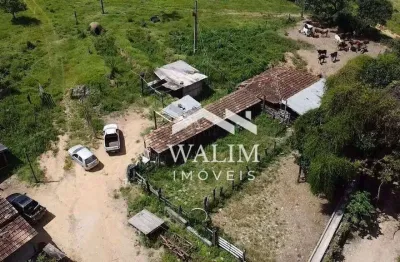 Oportunidade de investimento rural: fazenda completa em itaguara, mg – 160 hectares próximos à br-381