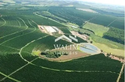 Fazenda de café à venda, 530 hectares, r$70.000.000,00  passos, mg