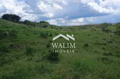 Terreno de 12 ha em oliveira/mg – infraestrutura completa, nascente e pasto formado!