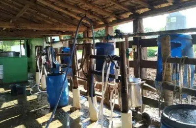 Fazenda de 126 hectares em pequi/mg – terra fértil, abundância de água e casa histórica!
