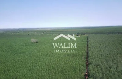 Fazenda à venda, 4 m² por r$ 180.000.000,00 - zona rural - araguaiana/mt