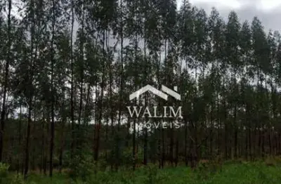 **?? fazenda com 240 hectares, eucalipto e silvo-pastoril – às margens do asfalto em curvelo, mg! ??**