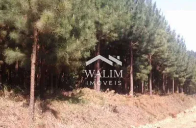 Fazenda com 6 dormitórios à venda, 177205000 m² por r$ 4,00 - zona rural - bauru/sp