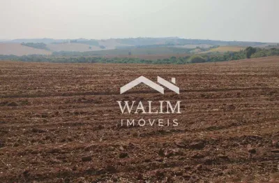 **fazenda de 350 hectares para cultivo de café em cristais/mg**